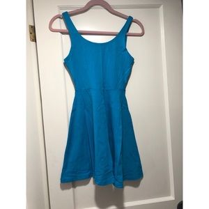 Express Skater Dress